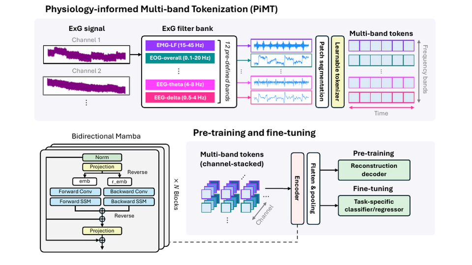 Beyond Hearing: Learning Task-agnostic ExG Representations from Earphones via Physiology-informed Tokenization